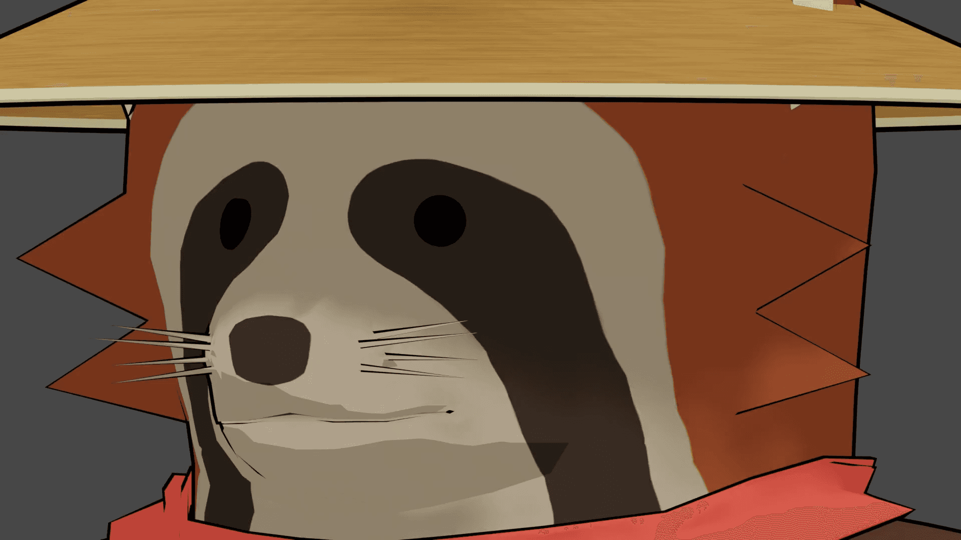 Racoon