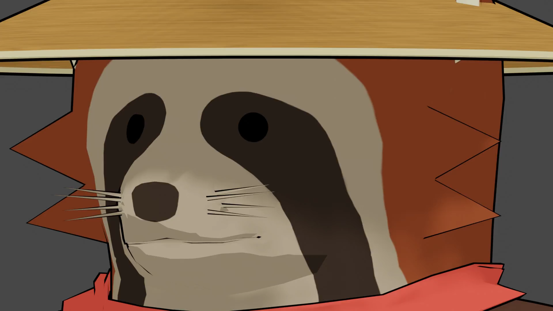 Racoon